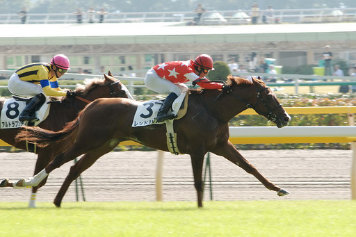 2009年4回東京4日目4R 2歳新馬