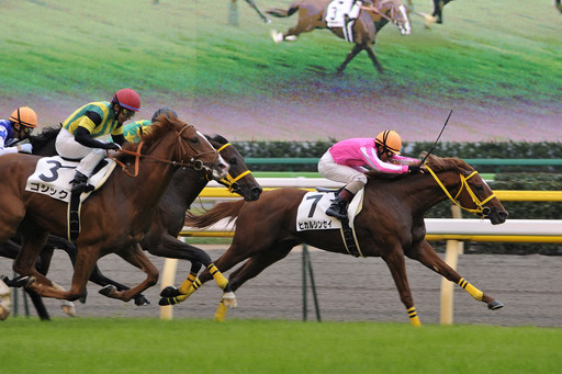 2010年4回東京1日目5R 2歳新馬