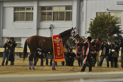 2011年1月26日 第12回川崎競馬3日目 第60回川崎記念優勝 フリオーソ