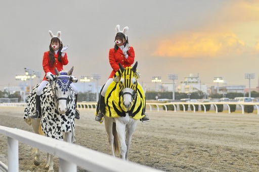 2011年1月26日 第12回川崎競馬3日目最終レース　誘導馬